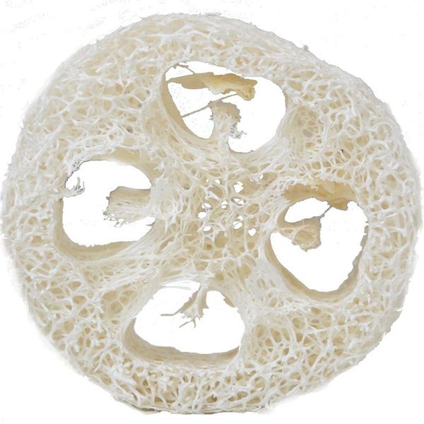 2cm thick natural loofah sponge slices for crafting soap or holding dishes