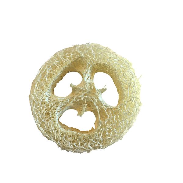 2cm thick natural loofah sponge slices ideal for soap crafting or dish drying, premium quality