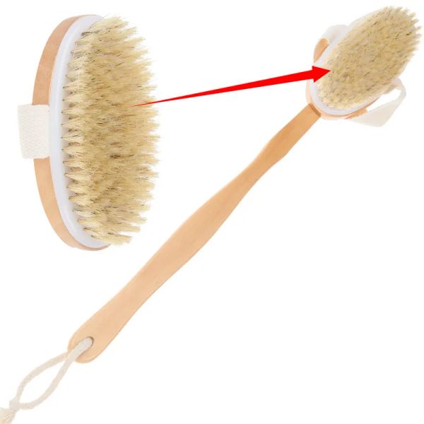 Natural wood bristle cleansing brush with long handle for body massage and spa scrubbing in bath or shower